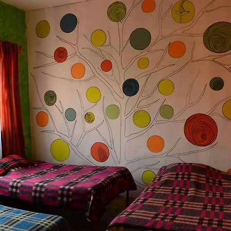 Chill Hostel 멕시코 시 객실 사진